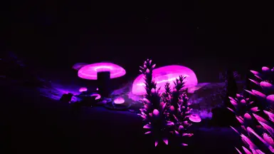 JELLYSHROOM CAVERNS