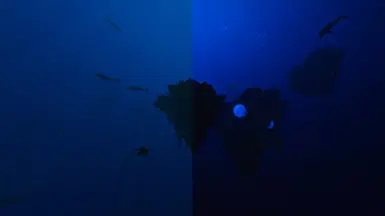 COMPARISON: UNDERWATER ISLANDS