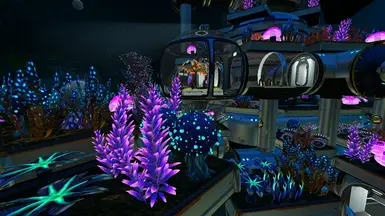 La PPRP — underwater garden