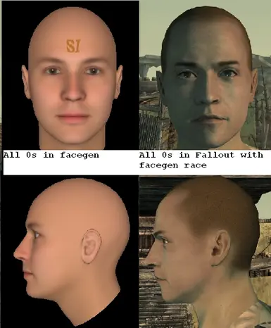 Facegen Race