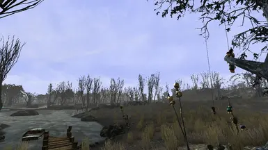 Swamps of Point Lookout