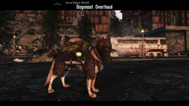 Its a Dogs World - Dogmeat Overhaul