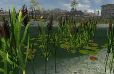 Reeds and lilypads in v2do8