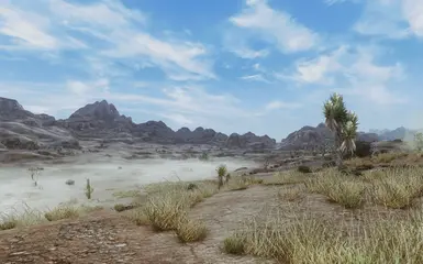 Realism ENB - FNV edition