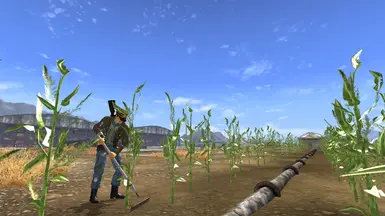 How not to Tend to Crops