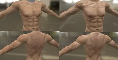 High Resolution Male Body Textures