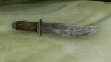 Bowie knife