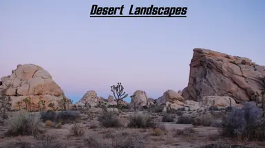 Desert Landscapes