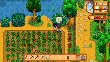 Stardew Valley Expanded NPC