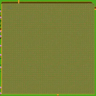 Mega Farm with 36,000 Cauliflower Growing