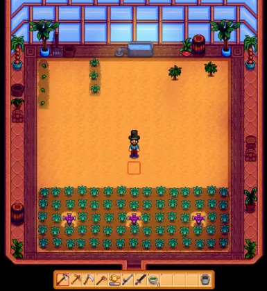 15 x 15 Greenhouse