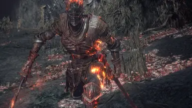 Soul of Cinder but HARDER (with unused animations)