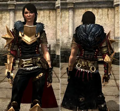 The Mage Champion s Armor