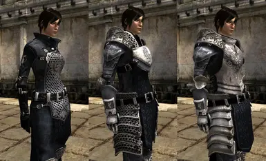 Grey Warden Armour Pack