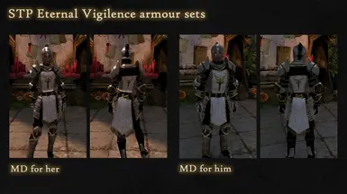 Eternal Vigilance Armour Pack