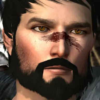 Iconic Male Hawke No Wrinkles