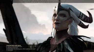 Full Dialogue Interface