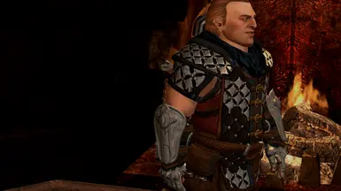 Armoured Varric