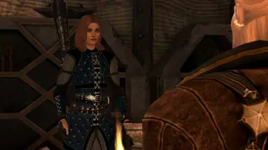 Armour of the Nevarran Princess