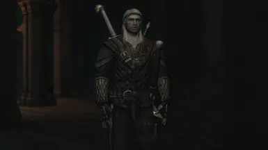 Geralt decided to become a night knight