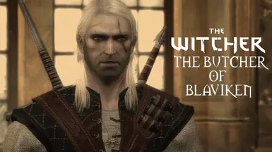 The Butcher of Blaviken Lore-Friendly Geralt