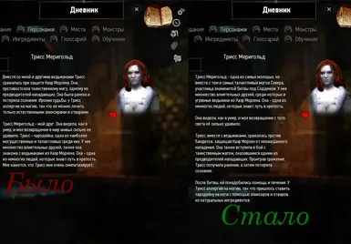 The Witcher Russian Edits and Fixes