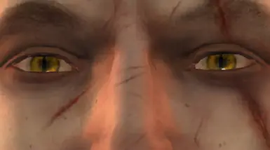 Golder Geralt Eyes for TW1