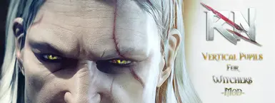 Catlike Eyes For all Witchers