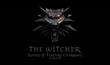 The Witcher Overhaul Project