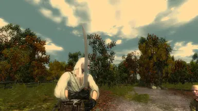 witcher 2015 12 25 22 43 33 19