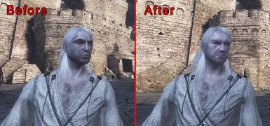 Witcher 1 HD Faces