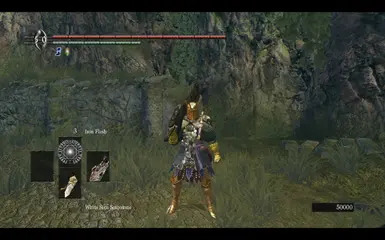 Demon's Souls inspired HUD mod