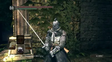 Wanderer Faraam Sellsword Knight (Forossa Dark Souls 2) DS2 (Guts Berserk)