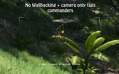 no wallhack 