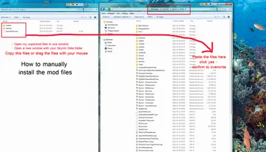How to manually install the mod files