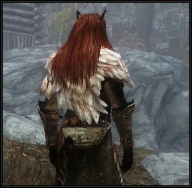 Male Khajiit long hair v_1_3