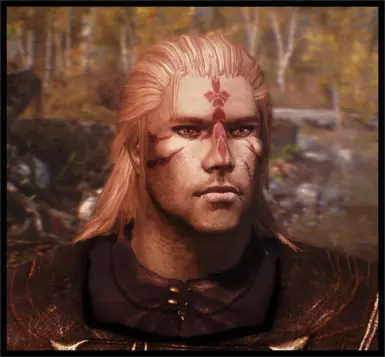 Geralt Witcher hair included in next version