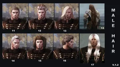 Hair chart Male hairs v_1_2