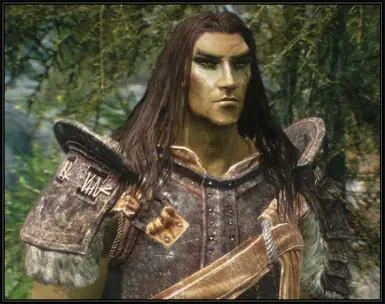 Elf Males remodeled vanilla long hair   v_1_3