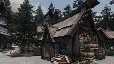 Ebony ENB