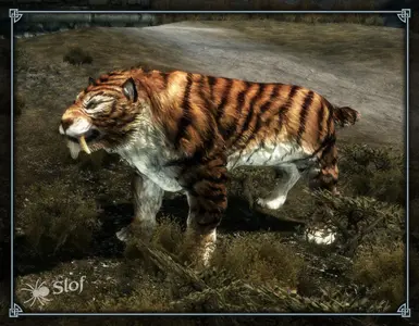 Tiger Texture