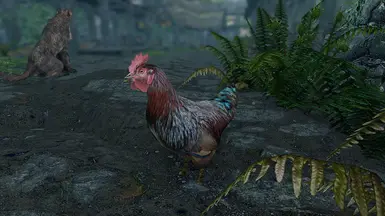 Skyrim Special Edition - Chicken