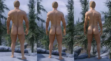 HIMBO Frost bodyslide preset