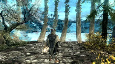 Skeletal barrier to Tamriel