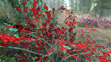 Snowberry Bush