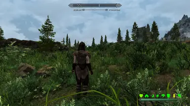 Overgrown Skyrim Field Patches