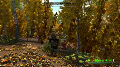 Overgrown Skyrim Jungle Seasons of Skyrim in the Rift