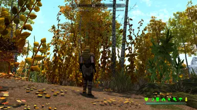 Overgrown Skyrim Jungle Seasons of Skyrim in the Rift