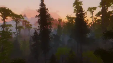 Falkreath Woods Morning ->