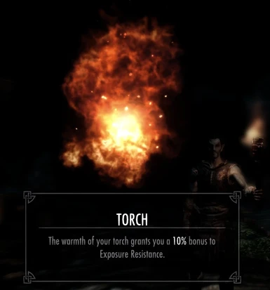 Torch Bonus